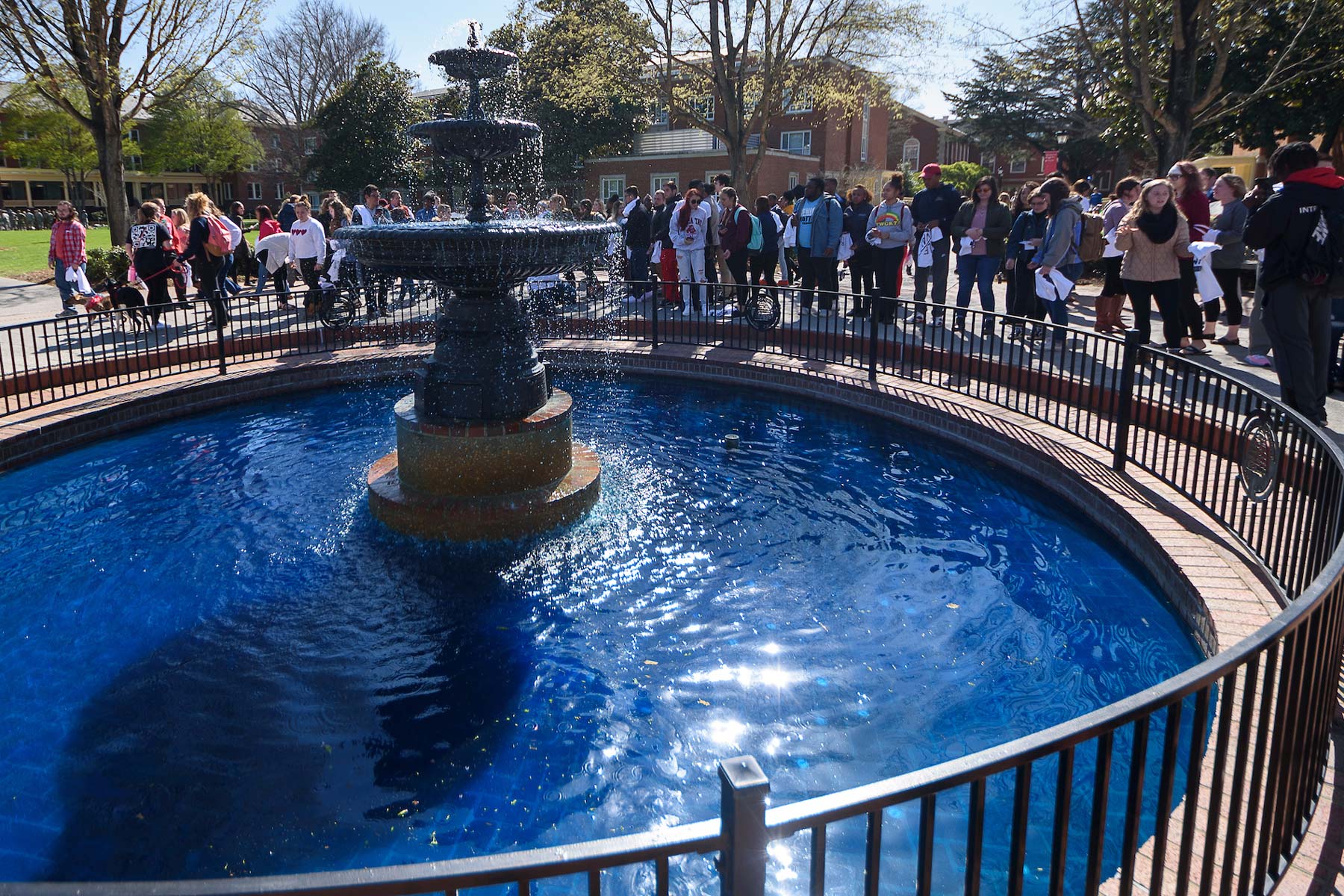 fountain on main campus with blue water