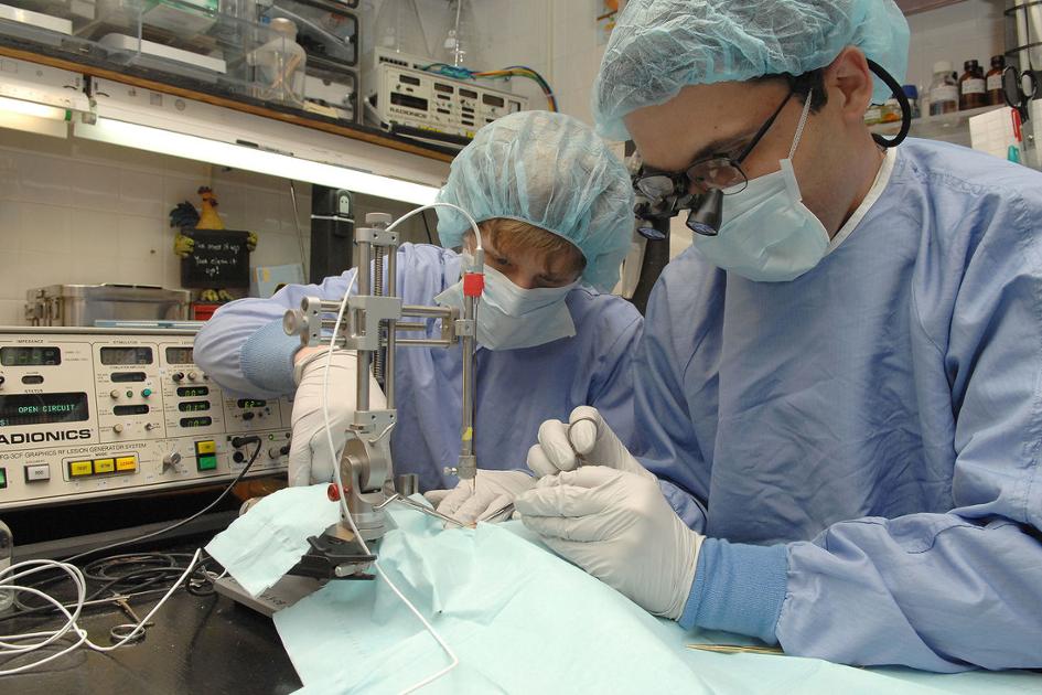 students in lab